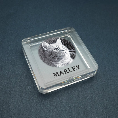Recuerdo de piel de mascota personalizado con foto, caja de pelo de mascota personalizada, caja conmemorativa de piel de perro y gato, regalos personalizados para amantes de las mascotas