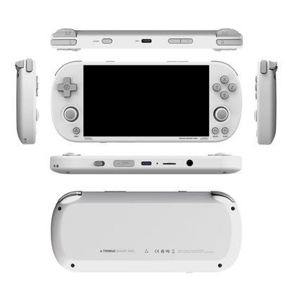Trimui Smart Pro consola de juegos portátil pantalla IPS de 4,96 pulgadas sistema Linux Joystick iluminación RGB Smartpro reproductor de videojuegos Retro regalo