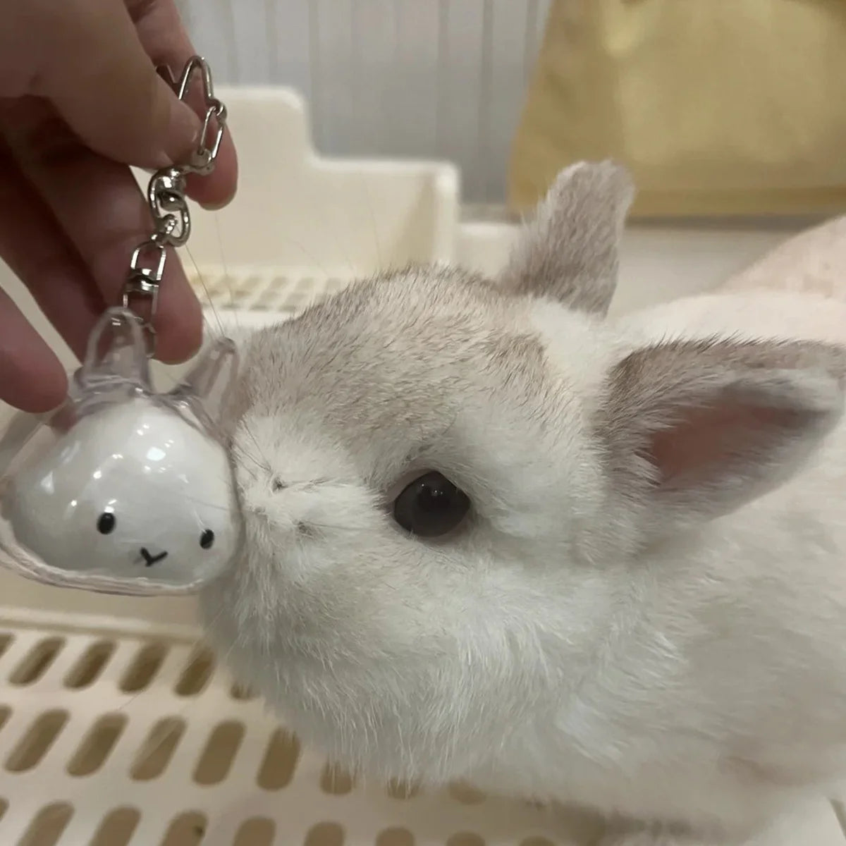 Botella de recuerdo de pelo de conejo transparente, cápsula de almacenamiento de pelo de mascota, llavero, regalo pensativo para amantes y propietarios de conejos