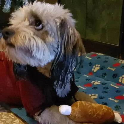 Un juego de 7 piezas de juguetes con sonido para cachorros, masticar mascotas de peluche suelto, aperitivos de frutas de peluche y juguetes para cachorros de verduras, adecuado para juegos lindos