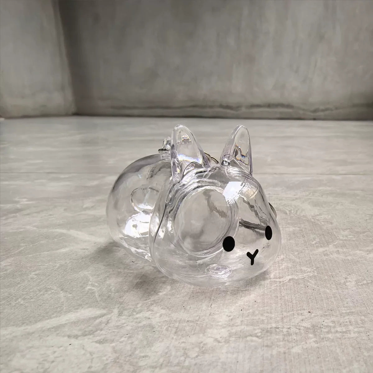 Botella de recuerdo de pelo de conejo transparente, cápsula de almacenamiento de pelo de mascota, llavero, regalo pensativo para amantes y propietarios de conejos